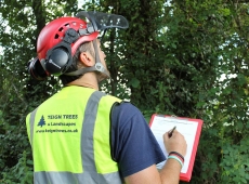Accredited Tree Inspections