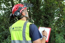 Accredited Tree Inspections
